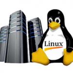 Kenapa Memilih Linux Hosting Untuk Web Server