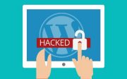Cara Melindungi Website Dari Serangan Siber