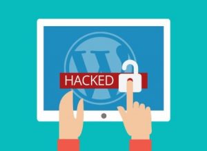 Cara Melindungi Website Dari Serangan Siber